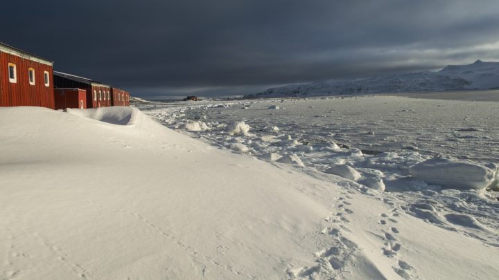 Se congeló la superficie del agua del mar frente a la Base Carlini en la Antártida