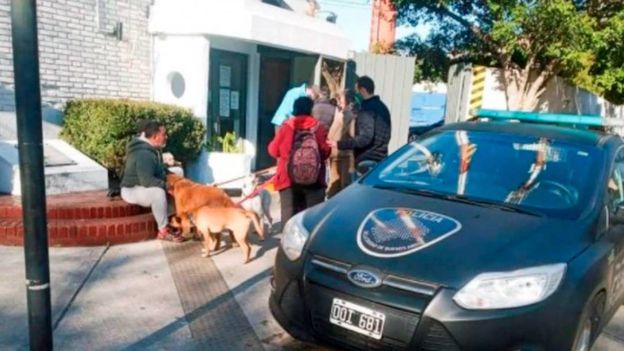 Un hombre atropelló a un paseador, mató a cuatro perros y los vecinos piden justicia