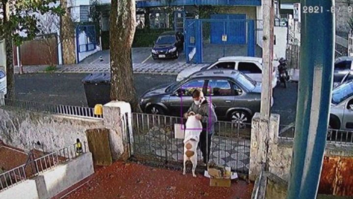 Un hombre se aprovechó de la confianza de una perra y le robó la ropa en Brasil