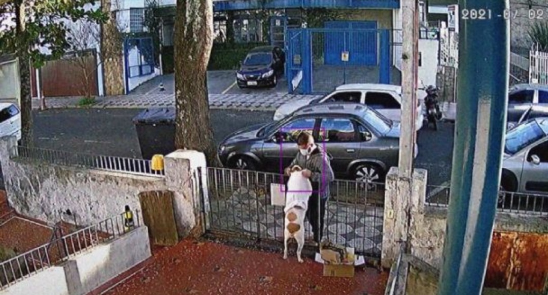 Un hombre se aprovechó de la confianza de una perra y le robó la ropa en Brasil