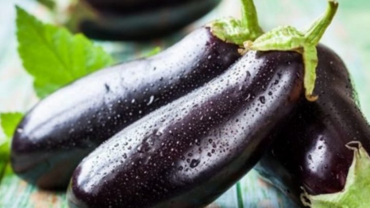 Comenzó Con $700 Pesos A Producir Berenjenas Al Escabeche, Y Fue Un Éxito