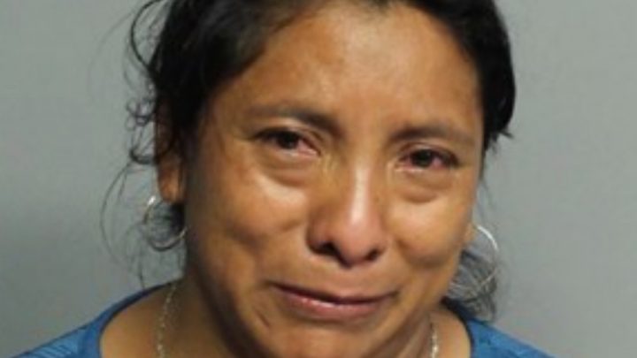 Murió Una Nena De 2 Años Que Estuvo 7 Horas Encerrada En Un Auto: Su Niñera Se La Olvidó Al Bajar