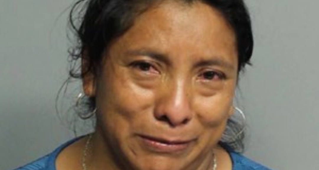Murió Una Nena De 2 Años Que Estuvo 7 Horas Encerrada En Un Auto: Su Niñera Se La Olvidó Al Bajar