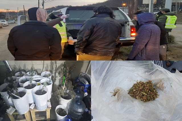 Allanamientos y detenidos con drogas en Ushuaia