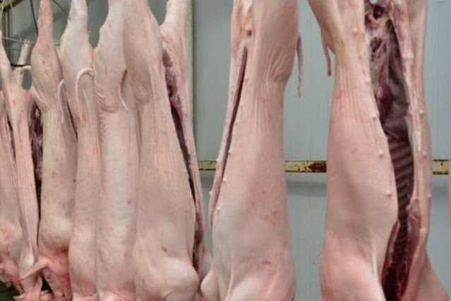 Se robaron 5 lechones del matadero Se robaron 5 lechones del matadero