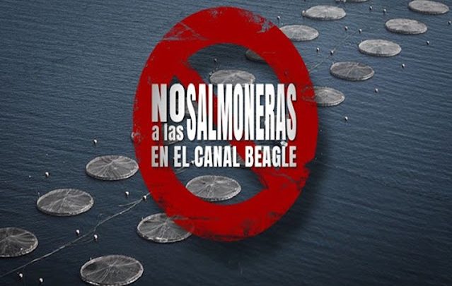 Gobierno promulgo la Ley que limita la salmonicultura a gran escala en TDF