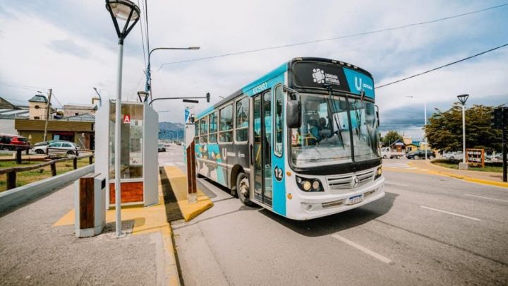 MÁS DEL 75% DE LOS USUARIOS DEL SERVICIO DE COLECTIVOS APRUEBA LA AMPLIACIÓN DE LOS NUEVOS RECORRIDOS