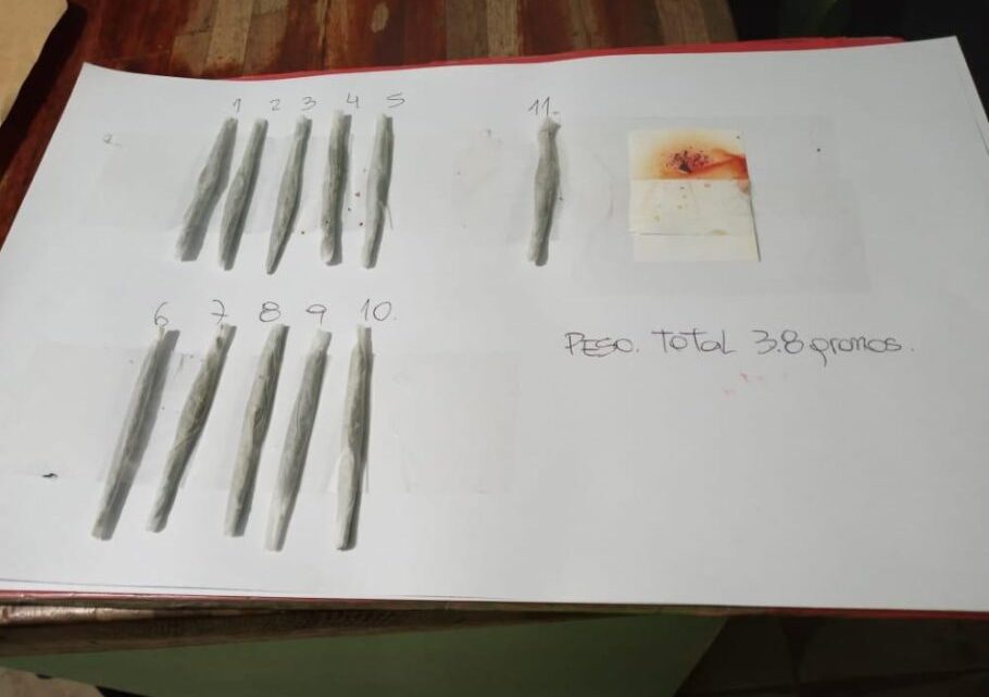 La Policía secuestró 11 «porros» en Ushuaia La Policía secuestró 11 «porros» en Ushuaia
