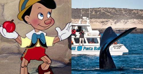 Una ballena se tragó a un hombre y luego lo escupió vivo