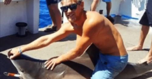 Se hacía llamar «jinete de tiburones»: subió a uno y fue mutilado