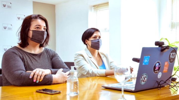 Cubino y Rossi participaron de forma virtual del encuentro del Consejo Federal de Cultura