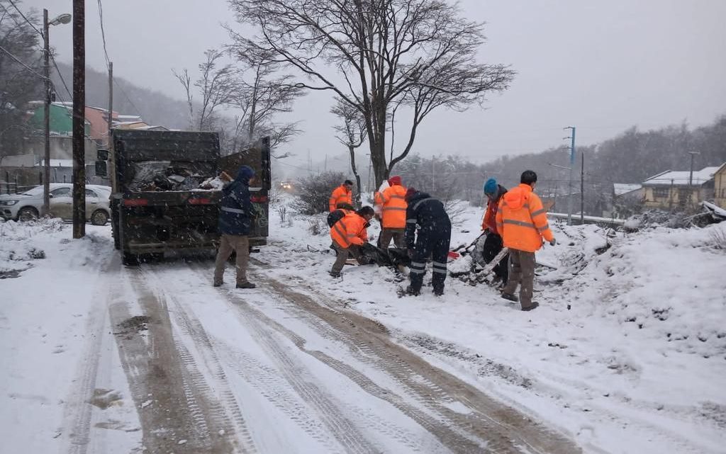 LA MUNICIPALIDAD DE USHUAIA REALIZÓ TRABAJOS DE LIMPIEZA INTEGRAL Y ERRADICACIÓN DE MICROBASURALES