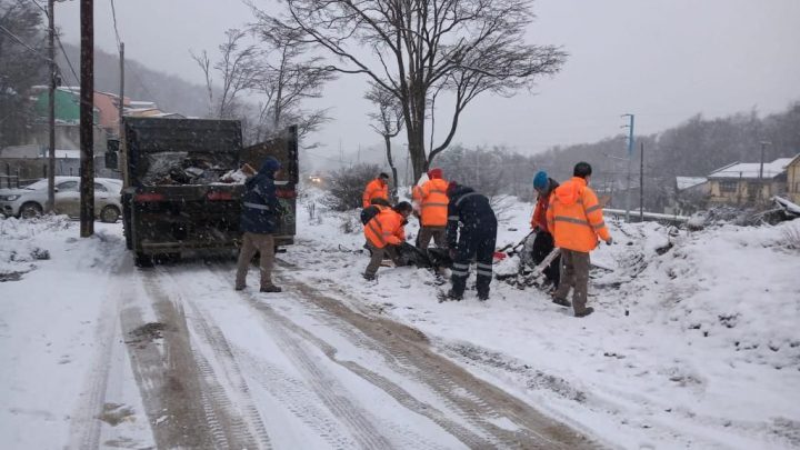 LA MUNICIPALIDAD DE USHUAIA REALIZÓ TRABAJOS DE LIMPIEZA INTEGRAL Y ERRADICACIÓN DE MICROBASURALES