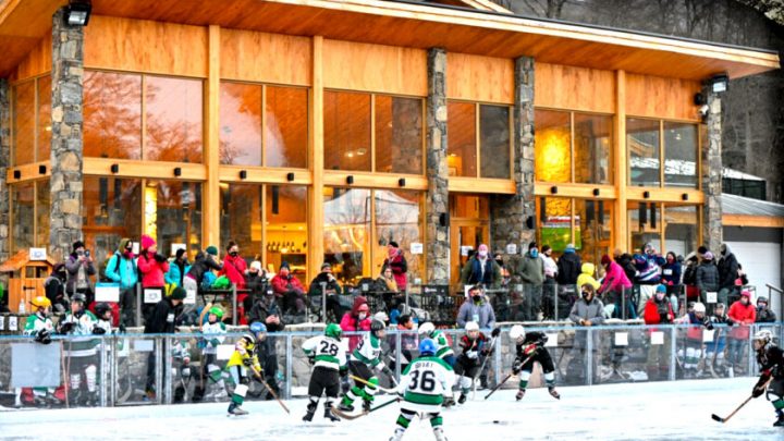 Gran fiesta del hockey sobre hielo