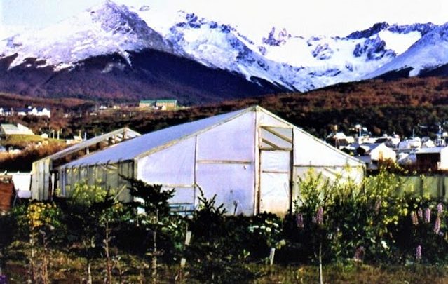 Crean por Ordenanza el Registro de Huertas, propietarios tendrán beneficios impositivos