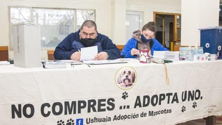 LA MUNICIPALIDAD DE USHUAIA CONCRETÓ OTRA EXITOSA JORNADA DE “ZOONOSIS MÁS CERCA”