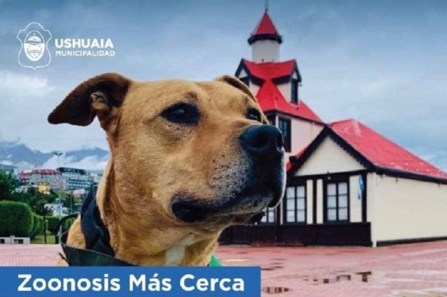 Este viernes se realizará una nueva jornada de “Zoonosis Más Cerca”