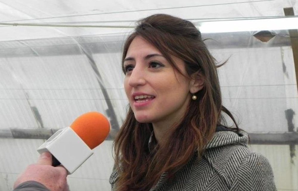Colazo: “Es importante que avancemos en estos criterios porque somos una provincia que ofrece turismo de naturaleza”