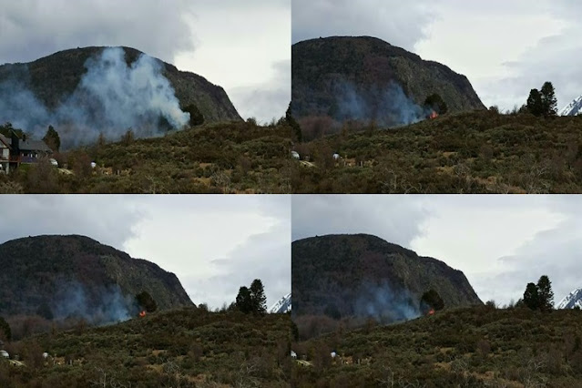 Incendio en zona boscosa de Ushuaia