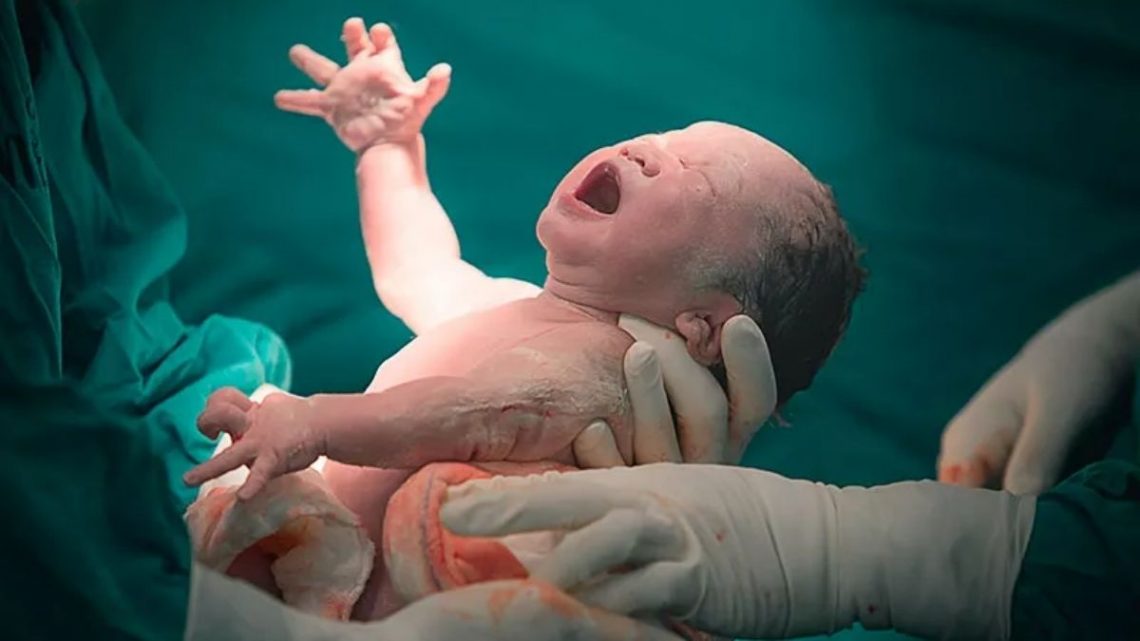 Nació en Argentina el primer bebé de Sudamérica por “transferencia de huso”