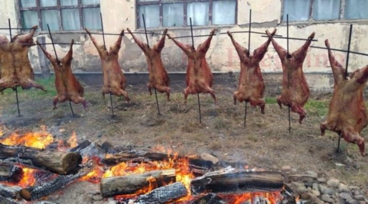 Se Viene El Primer “Festival Más Austral Del Mundo”