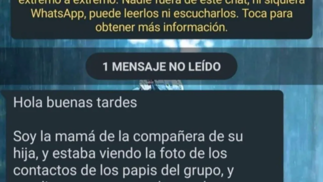 El insólito pedido de una mamá a un papá del grupo de WhatsApp del colegio por su foto de perfil