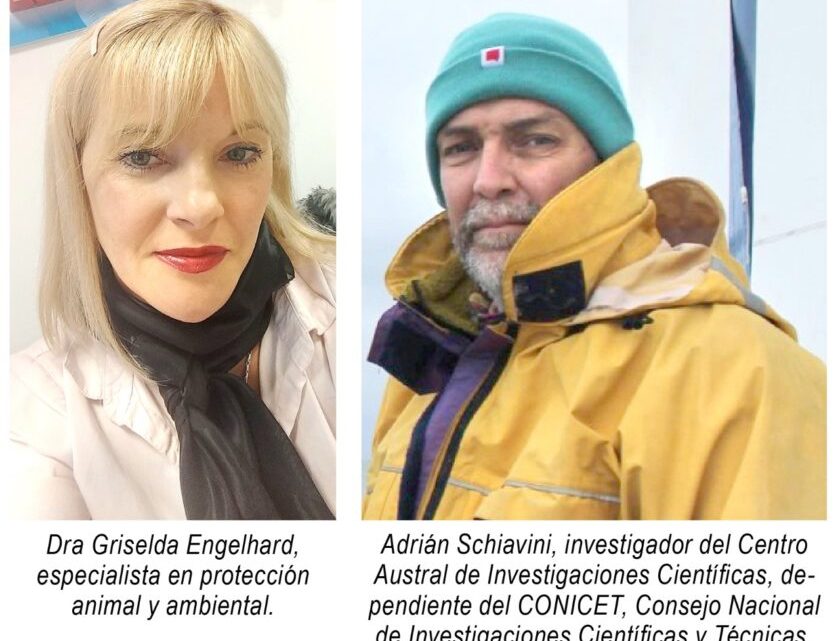 Denuncian penalmente al CONICET – CADIC y al biólogo Schiavini por presunto “contrabando de sustancias tóxicas”