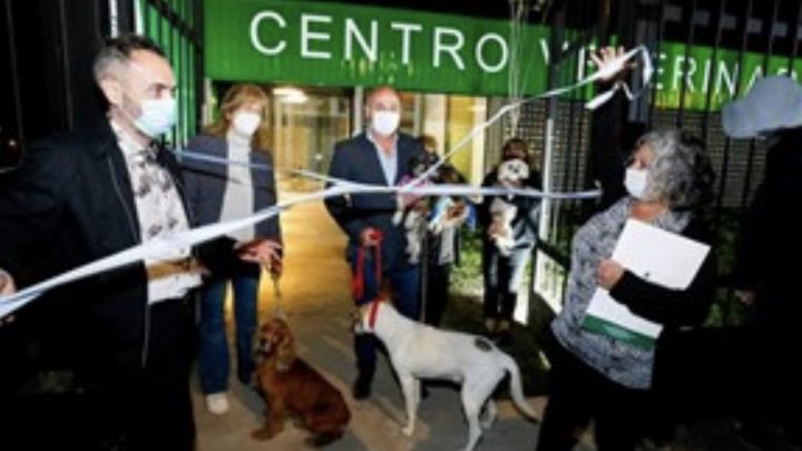 Inauguraron un hospital público y gratuito para mascotas