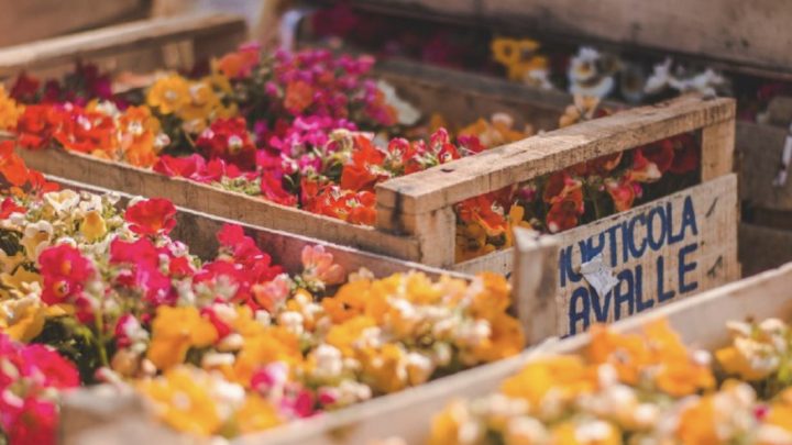 LA MUNICIPALIDAD DE USHUAIA INICIÓ LAS TAREAS DE EMBELLECIMIENTO PARA LA TEMPORADA TURÍSTICA DE VERANO