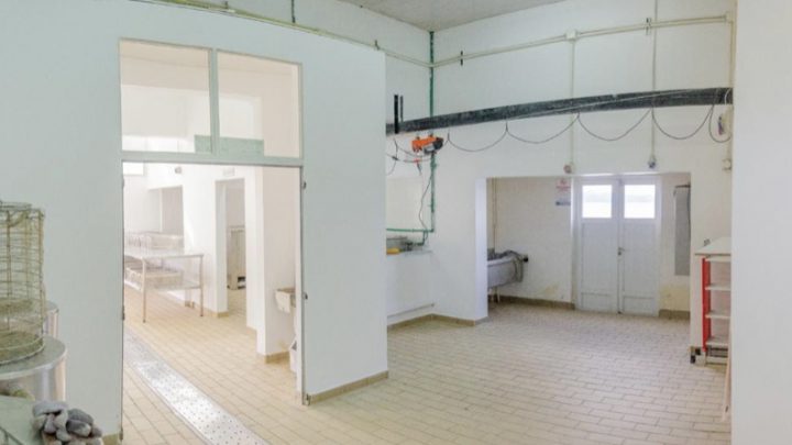 Fue totalmente reacondicionada la planta procesadora de crustáceos municipal