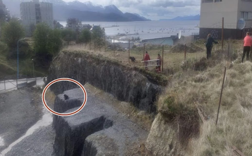 Bomberos rescatan a tres perros atrapados en un pozo en Ushuaia Bomberos rescatan a tres perros atrapados en un pozo en Ushuaia