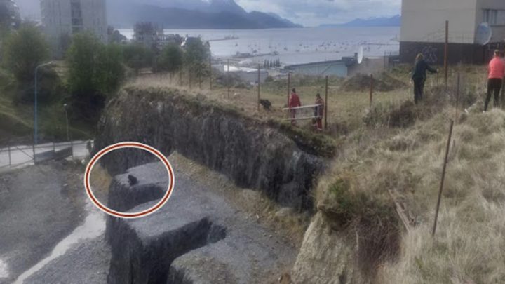 Bomberos rescatan a tres perros atrapados en un pozo en Ushuaia