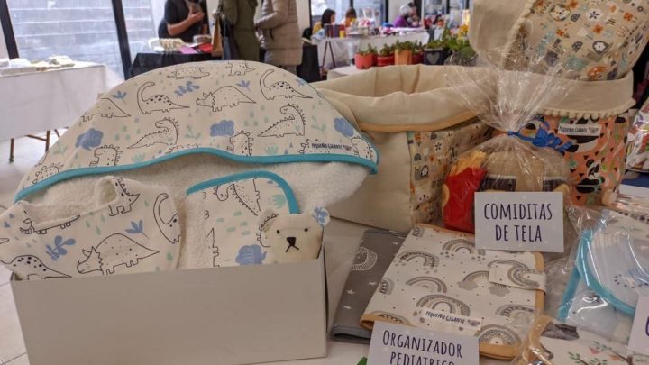 LA MUNICIPALIDAD DE USHUAIA DESARROLLÓ UNA NUEVA EXPO-FERIA DE LA ECONOMÍA SOCIAL