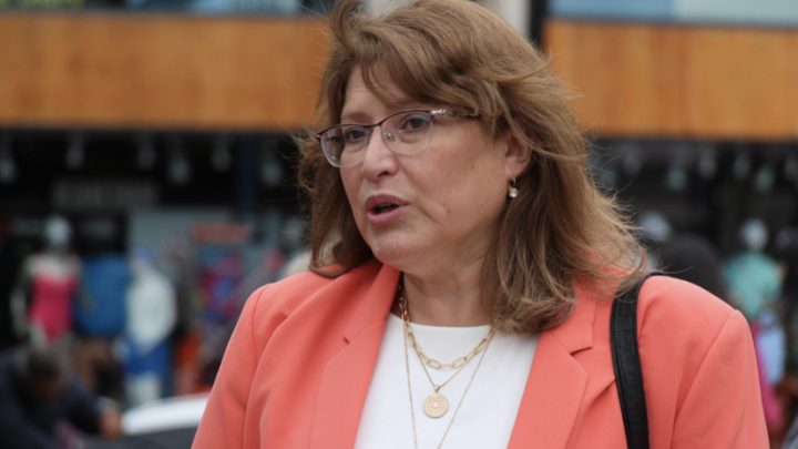 Subrégimen Industrial: “Queremos que salga pronto, pero no queremos que usalga como está”, aseguró Yutrovic