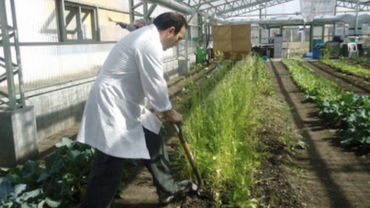 Capacitación a docentes para la formación de Huertas Escolares