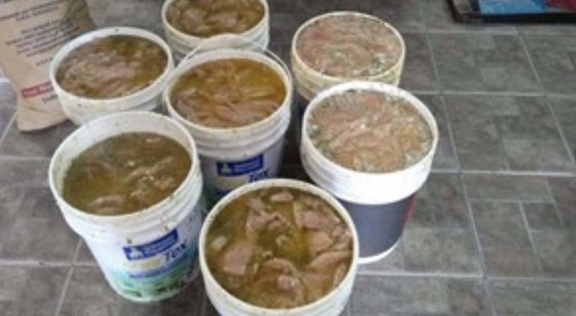 Clausuraron una fábrica de milanesas que almacenaba los preparados en tachos de pintura Clausuraron una fábrica de milanesas que almacenaba los preparados en tachos de pintura
