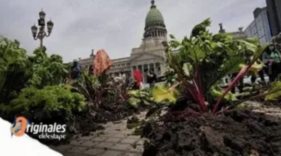 Acceso a la tierra: demora en una ley clave para desmonopolizar y abaratar loa alimentos