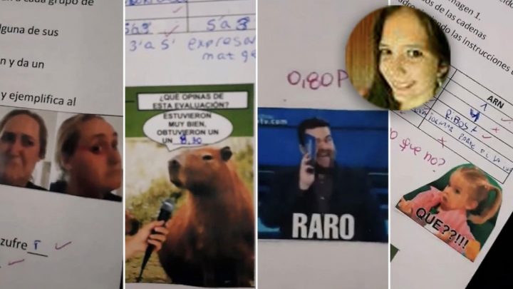 Es maestra, corrigió las pruebas con memes y se hizo viral: “Soy la profe que me hubiera gustado tener”