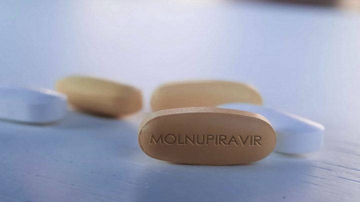 Una píldora experimental redujo a la mitad las muertes por Covid-19