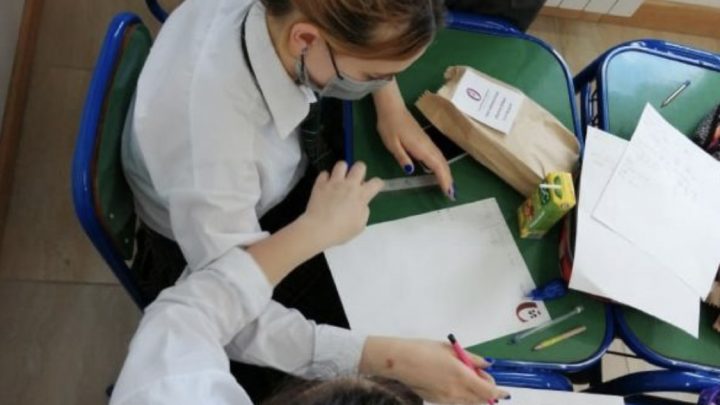 Más de 400 alumnos fueguinos participan de las Olimpíadas Newsan