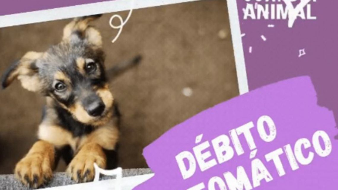 GUARDIA ANIMAL: Graciela Cornejo debe mudarse por un problema de salud y pide colaboración para llevar sus perros GUARDIA ANIMAL: Graciela Cornejo debe mudarse por un problema de salud y pide colaboración para llevar sus perros