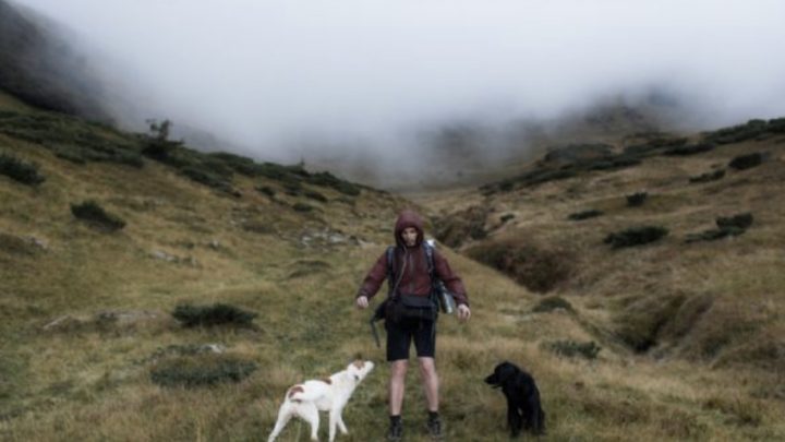 Un excursionista perdido ignoró los llamados de rescatadores porque no conocía el número
