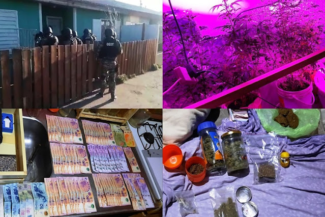 Allanamientos por operativos antidrogas, cuatro involucrados y un detenido Allanamientos por operativos antidrogas, cuatro involucrados y un detenido