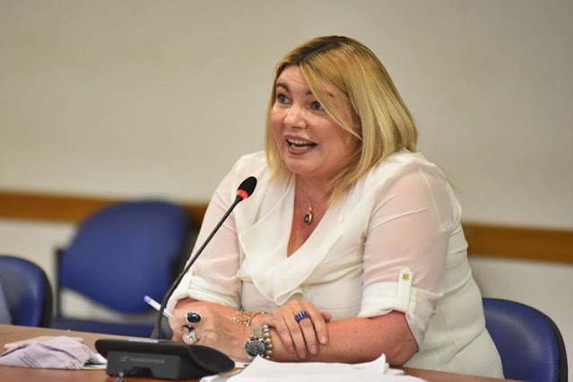 Bertone y pide tope salarial para la Justicia y los políticos de TDF