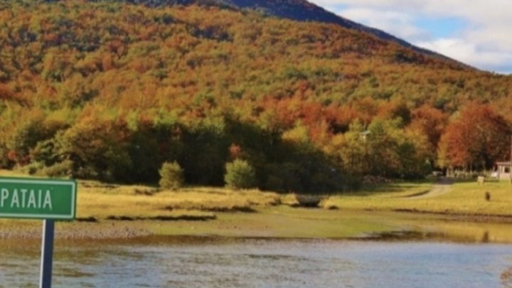 “Aparte De Venir A Acampar O Pasar El Día, Está Habilitado La Pesca De Truchas Y Salmón En El Río LaPataia»