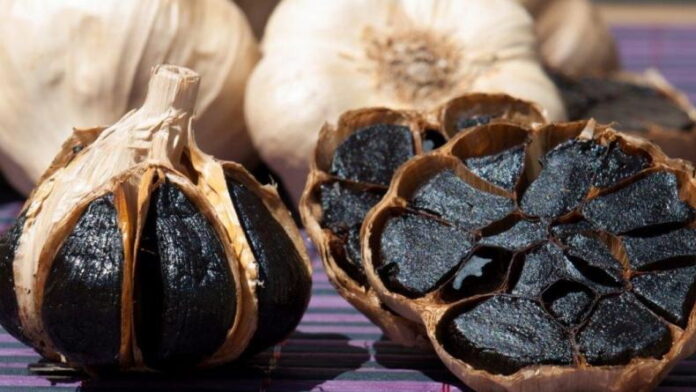 La Estancia Viamonte, pionera en el cultivo de huertas orgánicas que se destaca el «ajo negro»