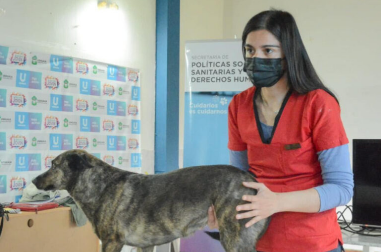 “Zoonosis Más Cerca”: Este jueves estará en el Bº Bahía Golondrina y próximamente tendrá un puesto fijo en el Pase de las Rosas