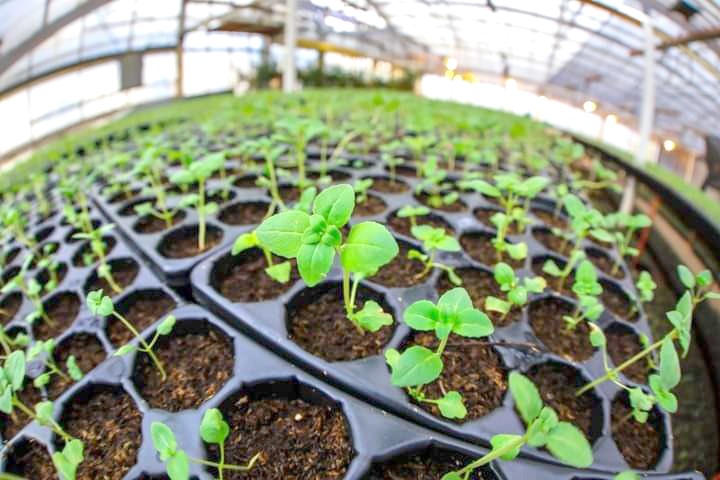 El Municipio de Río Grande realizará la primer “Expo Agroproductiva”