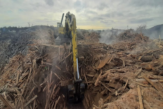 Autorizan a Lenga Patagonia a instalar equipo para incinerar desechos forestales en TDF
