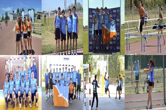 Araucania mendallas en atletismo, judo y natacion